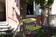 Jardin atelier