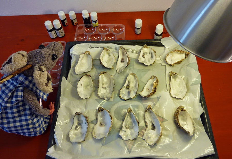P1120275