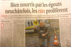 Rats_Courrier-neuchâtelois