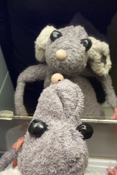 Rat miroir