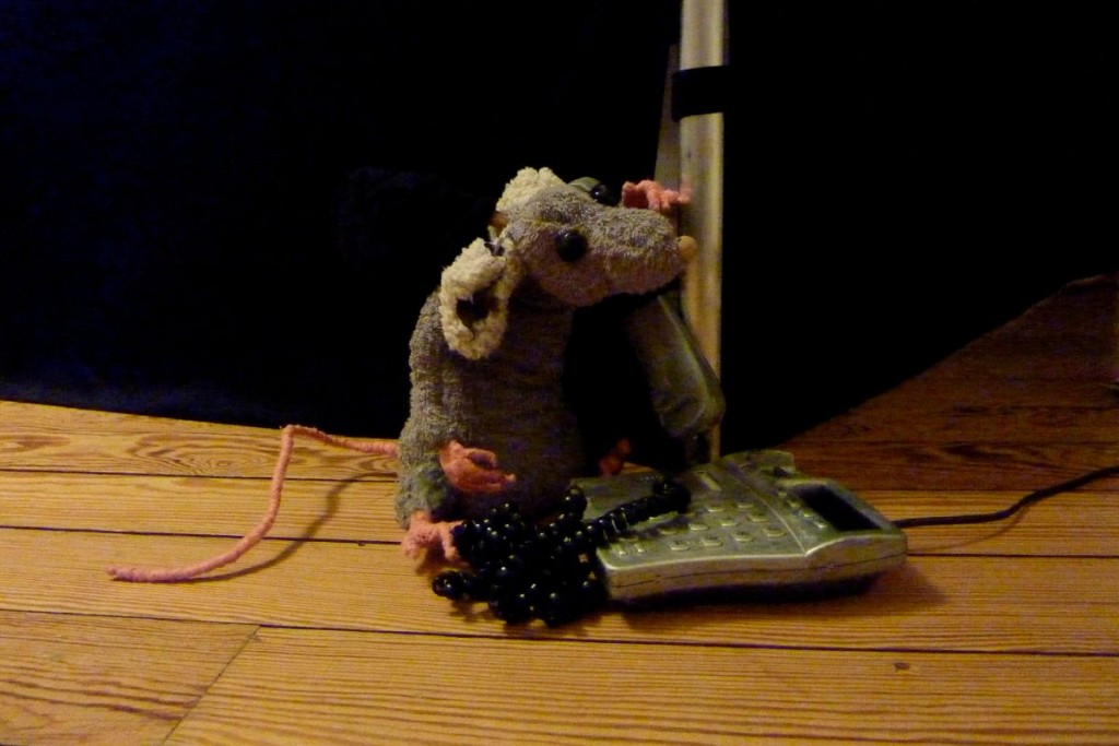 Rat au téléphone