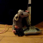 Rat au téléphone