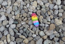 Caillou multicolore