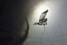 atelier ombres lumières