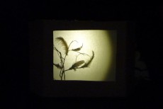 atelier ombres