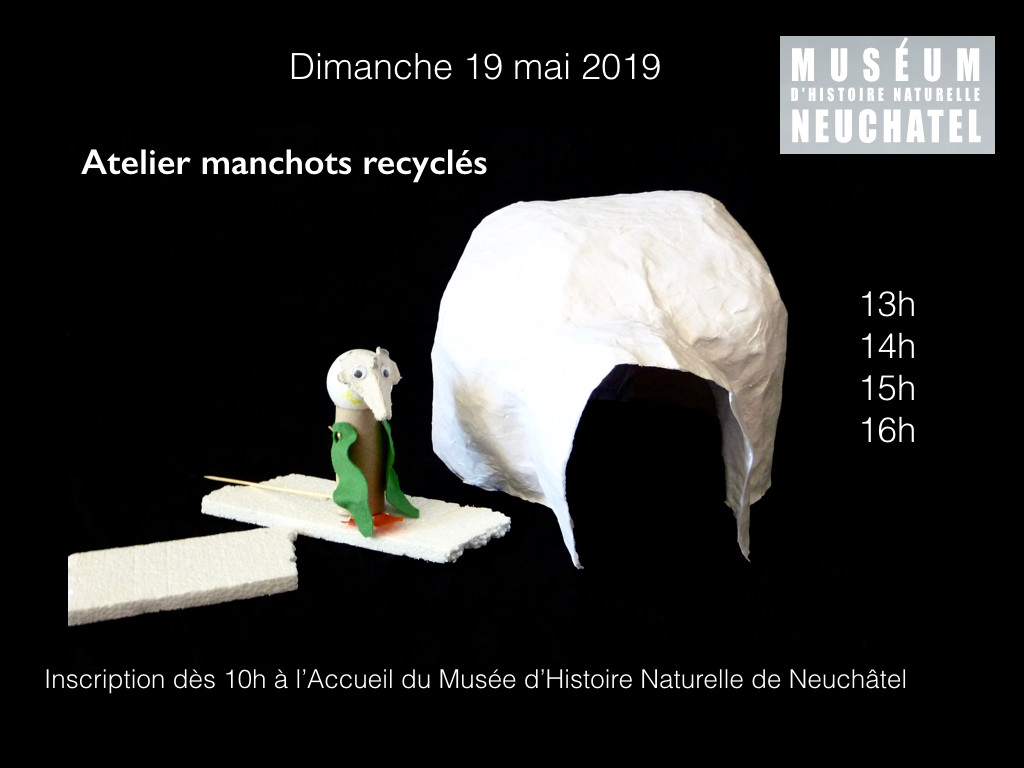 les ateliers de sophie
