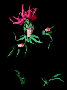 costume fleur centaurée