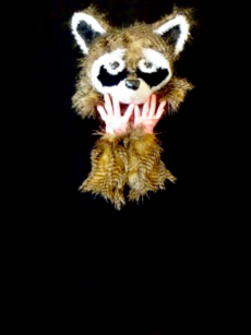costume raton laveur